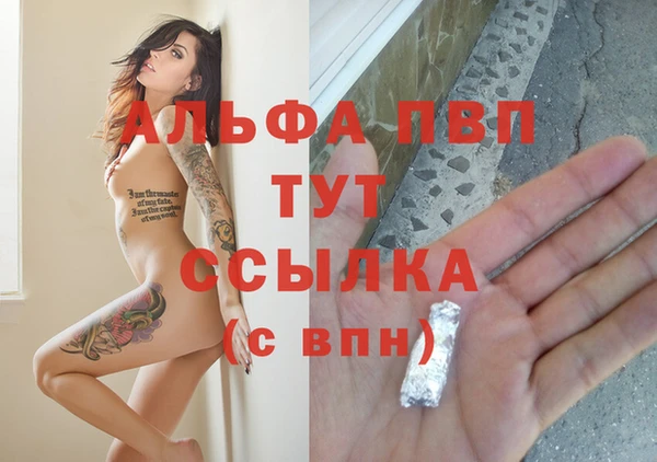 гашик Волоколамск